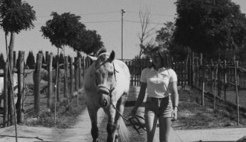 Devojka u dvoristu steta belog konja.